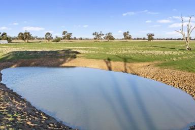 Farm For Sale - VIC - Arcadia South - 3631 - Brilliant Grazing/Cropping Block  (Image 2)