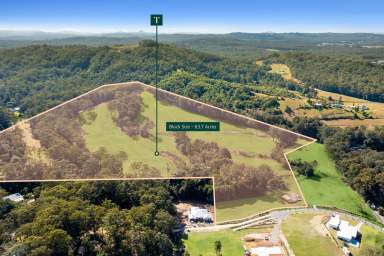 Farm Sold - QLD - Glenview - 4553 - Landmark Acreage Parcel – 63.7 Acres  (Image 2)