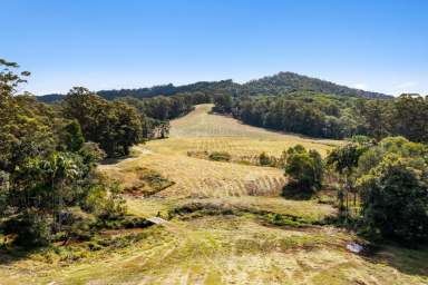 Farm Sold - QLD - Glenview - 4553 - Landmark Acreage Parcel – 63.7 Acres  (Image 2)