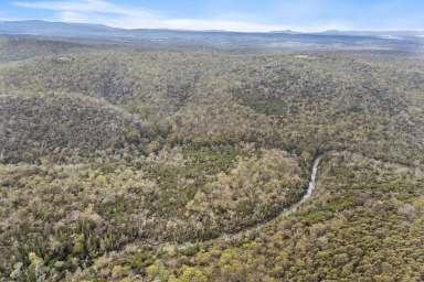 Farm For Sale - TAS - Swansea - 7190 - Private and serene  (Image 2)