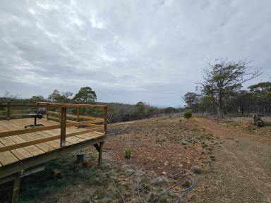 Farm For Sale - TAS - Swansea - 7190 - Private and serene  (Image 2)