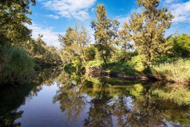 Farm For Sale - NSW - Runnyford - 2536 - 55 Acres on Buckenbowra River  (Image 2)