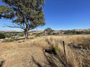 Farm For Sale - NSW - Jugiong - 2726 - 4 x OPPORTUNITY !!! Building blocks in Jugiong  (Image 2)