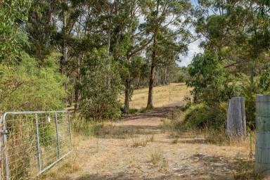 Farm For Sale - TAS - Margate - 7054 - Lifestyle land opportunity  (Image 2)