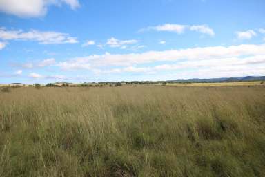 Farm Sold - QLD - Ballandean - 4382 - FANTASTIC GRAZING BLOCK - $820,000  (Image 2)