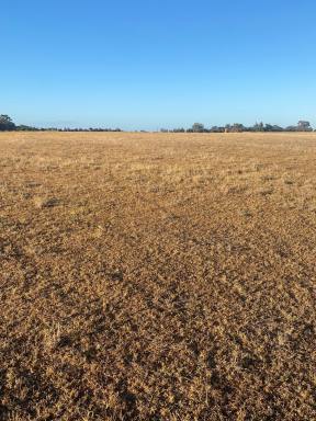Farm Sold - VIC - Clear Lake - 3409 - A Blank Canvas!  (Image 2)