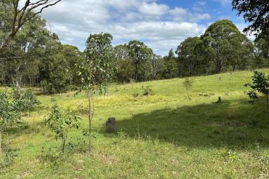 Farm For Sale - NSW - Dungog - 2420 - Your Weekends Start Here – Inspections Strictly by Appointment Only  (Image 2)