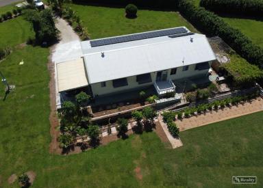 Farm For Sale - QLD - Daradgee - 4860 - COUNTRY LIVING  (Image 2)