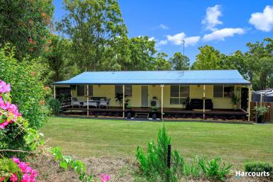 Farm For Sale - QLD - McIlwraith - 4671 - 4 BED 2 BATH HOME ON 1.24 ACRES  (Image 2)