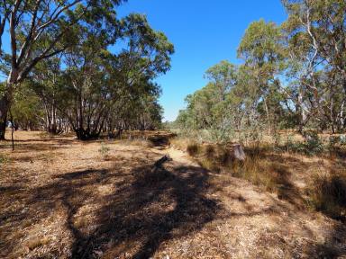 Farm For Sale - VIC - Homebush - 3465 - 6.92HA (17.10 Acres) Versatile, Historic and Highly Picturesque  (Image 2)