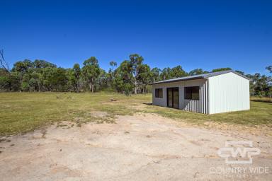 Farm For Sale - NSW - Torrington - 2371 - Escape To The Country  (Image 2)