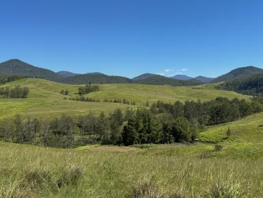Farm For Sale - NSW - Caffreys Flat - 2424 - **Exclusive Rural Retreat with Endless Potential**  (Image 2)