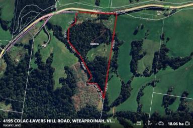 Farm For Sale - VIC - Weeaproinah - 3237 - Ready, Set, Build: Your Dream Land Awaits with Permit in Place...  (Image 2)