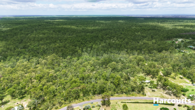 Farm For Sale - QLD - Bucca - 4670 - DID SOMEONE SAY TREE CHANGE?  (Image 2)