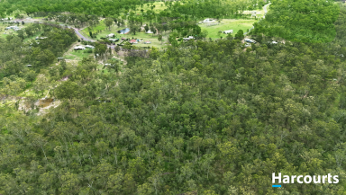 Farm For Sale - QLD - Bucca - 4670 - DID SOMEONE SAY TREE CHANGE?  (Image 2)