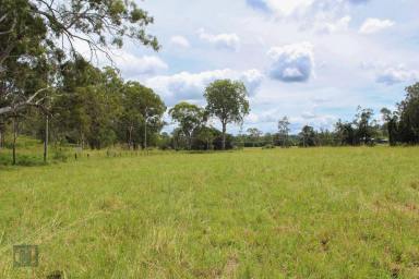 Farm For Sale - QLD - Cainbable - 4285 - 6 acres of land with creek frontage - a beautiful site for a new home or weekender.  (Image 2)