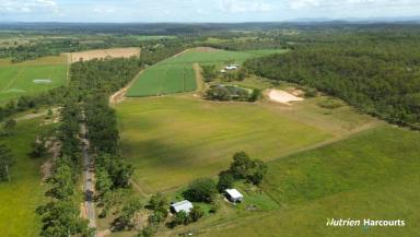 Farm For Sale - QLD - Bungadoo - 4671 - 126 Cultivated Acres - Modern Brick Home - Burnett River Frontage  (Image 2)