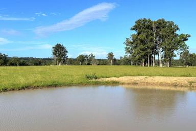 Farm For Sale - NSW - Possum Brush - 2430 - Vacant Acreage On The Highway!  (Image 2)