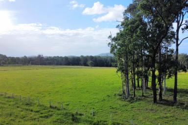 Farm For Sale - NSW - Possum Brush - 2430 - Vacant Acreage On The Highway!  (Image 2)