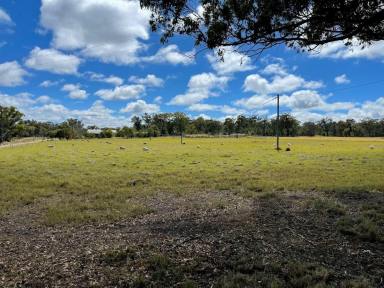Farm For Sale - QLD - Dalveen - 4374 - When opportunity comes knocking!  (Image 2)