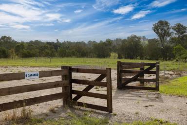 Farm For Sale - QLD - Woodford - 4514 - Build you dream home with 31 Glorious Acres - Woodford  (Image 2)