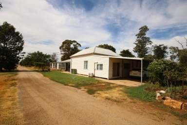 Farm For Sale - VIC - Lockington - 3563 - 215-ACRES WITH DUAL RESIDENCES AND DAIRY INFRASTRUCTURE  (Image 2)