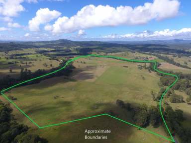 Farm For Sale - NSW - Kyogle - 2474 - 250 ACRES - GHINNI GHI  (Image 2)