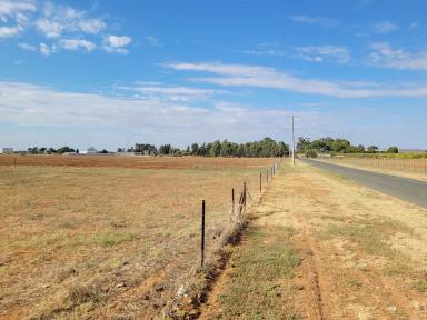 Farm For Sale - VIC - Nyah - 3594 - Your own piece of paradise  (Image 2)