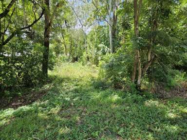 Farm For Sale - QLD - Forrest Beach - 4850 - 4,041 SQ.M. (JUST UNDER 1 ACRE) BEACH BLOCK IN RURAL AREA!  (Image 2)