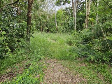 Farm For Sale - QLD - Forrest Beach - 4850 - 4,041 SQ.M. (JUST UNDER 1 ACRE) BEACH BLOCK IN RURAL AREA!  (Image 2)