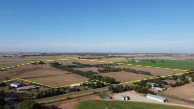 Farm Tender - VIC - Echuca West - 3564 - Drought Proof - Ideally Located Farming Property  (Image 2)