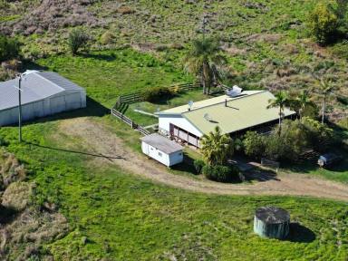 Farm For Sale - NSW - Kyogle - 2474 - COUNTRY STYLE LIVING  (Image 2)