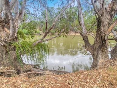 Farm For Sale - NSW - Gillenbah - 2700 - 'AMAZING' - WITH RIVER FRONTAGE  (Image 2)