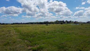 Farm For Sale - NSW - Coraki - 2471 - Location Location Location  (Image 2)