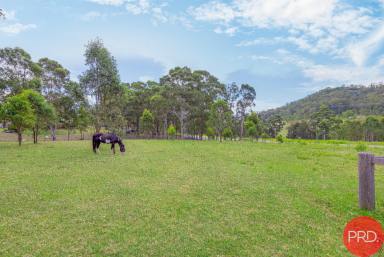 Farm For Sale - NSW - Lambs Valley - 2335 - RURAL PARADISE ON 30 Acres  (Image 2)