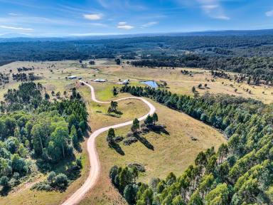 Farm For Sale - VIC - Bendoc - 3888 - Forget the rest of the world exists.  (Image 2)