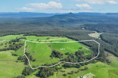 Farm For Sale - NSW - Morton - 2538 - Majestic Mountain Views & Rolling Green Pastures  (Image 2)