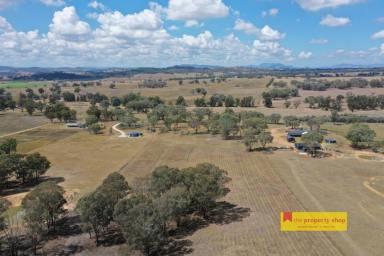 Farm For Sale - NSW - Mudgee - 2850 - RURAL LIFESTYLE MADE EASY  (Image 2)