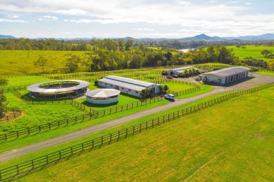 Farm Auction - NSW - Wingham - 2429 - River Point - Will Be Sold  (Image 2)