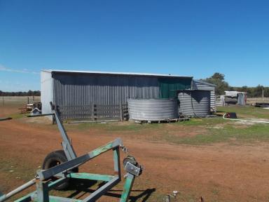 Farm For Sale - WA - Frankland River - 6396 - RARE OPPORTUNITY: 1500 ACRES : MIXED FARMING - MULTIPLE USE - YOUR IMAGINATION IS YOUR LIMITATION  (Image 2)