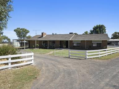 Farm For Sale - VIC - Caniambo - 3630 - Sunnybrook Acres - Your perfect lifestyle farmlet just minutes from Shepparton  (Image 2)