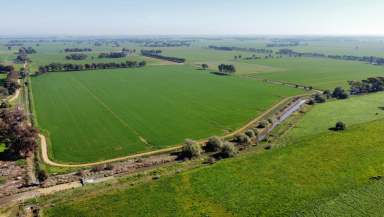 Farm For Sale - VIC - Kotta - 3565 - ECHUCA - Irrigation Farm  (Image 2)