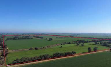 Farm For Sale - VIC - Kotta - 3565 - ECHUCA - Irrigation Farm  (Image 2)