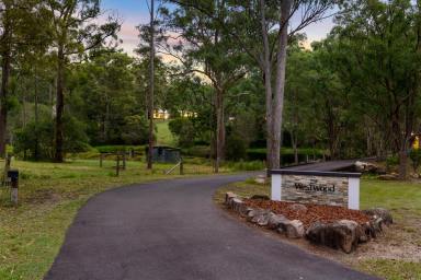 Farm For Sale - QLD - Sheldon - 4157 - PRIVATE SECLUDED HOMESTEAD SET OVER 38.5 ACRES  (Image 2)