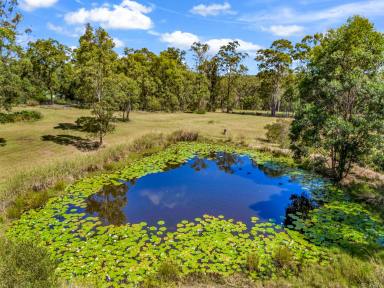 Farm Sold - NSW - Clarence Town - 2321 - Leafy Retreat  (Image 2)