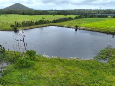 Farm For Sale - QLD - Wamuran - 4512 - Prime Gateway Horticultural Platform  (Image 2)