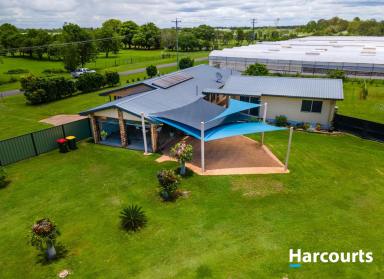 Farm For Sale - QLD - Calavos - 4670 - Acreage Lifestyle Living At Its Finest  (Image 2)