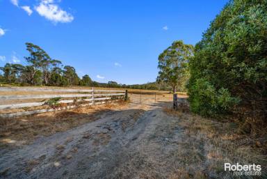 Farm For Sale - TAS - Forcett - 7173 - Huge land parcel delivers location, lifestyle and enticing potential  (Image 2)