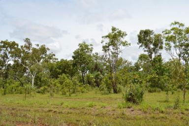 Farm For Sale - NT - Batchelor - 0845 - 22 Acres ready for a new owner!  (Image 2)