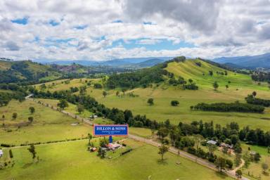 Farm For Sale - NSW - Dungog - 2420 - Escape to the Country  (Image 2)